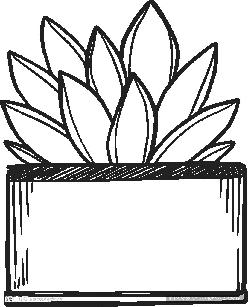 简约线条风多肉植物插画