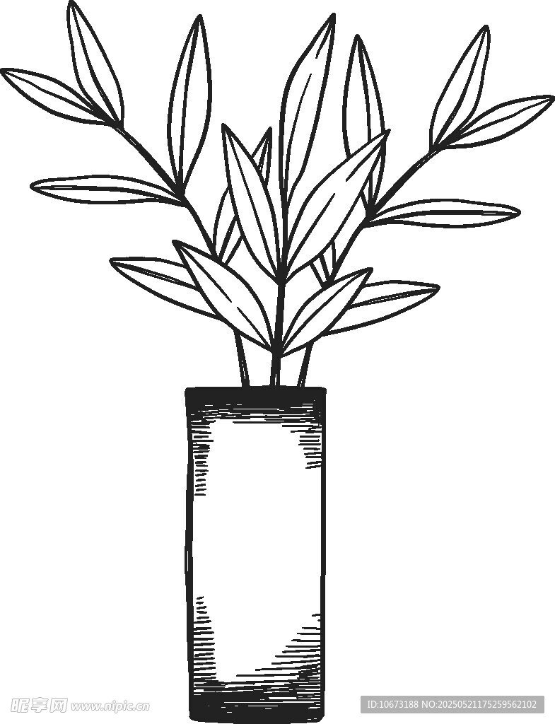 简约花瓶插枝黑白插画
