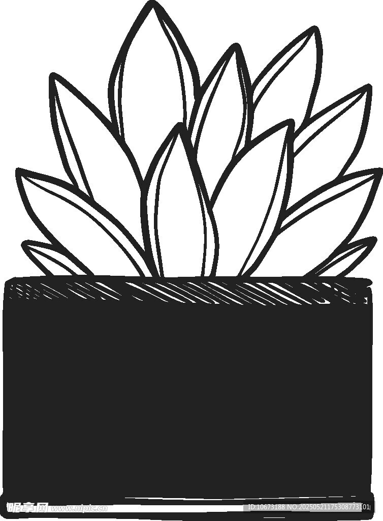 简约盆栽线条插画