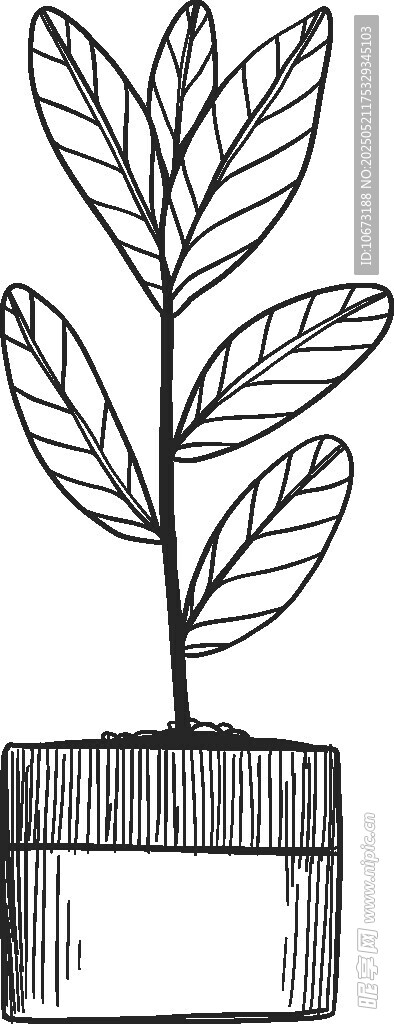简约盆栽插画
