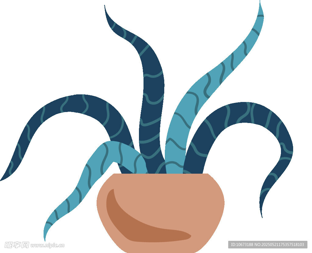 盆栽植物插画