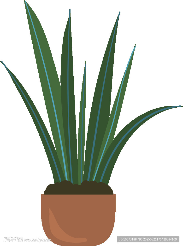 盆栽绿植 清新室内小植物
