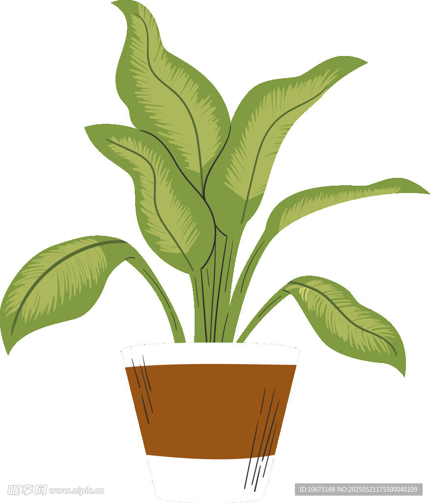 盆栽绿植插画