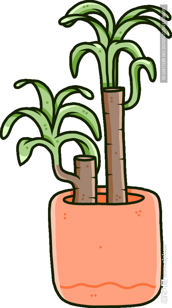 盆栽棕榈植物插画