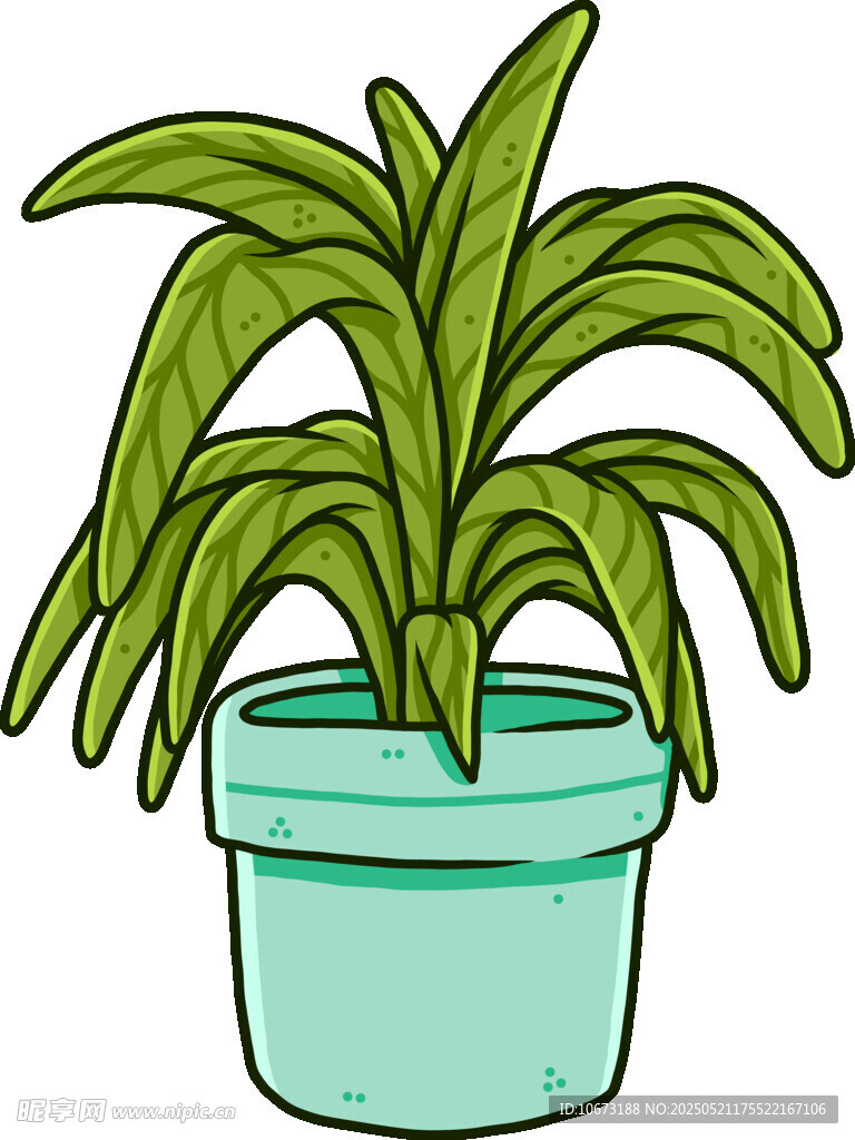 盆栽绿植插画