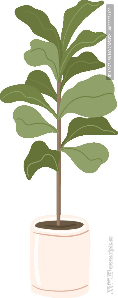 简约盆栽绿植室内装饰图