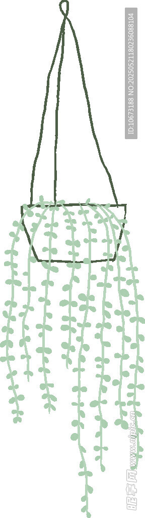 绿色垂吊植物装饰花盆
