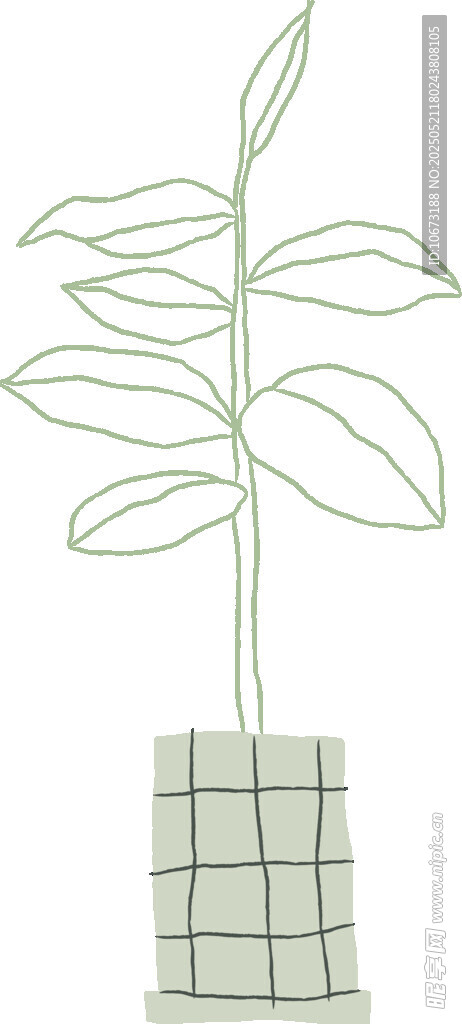 简约盆栽插画