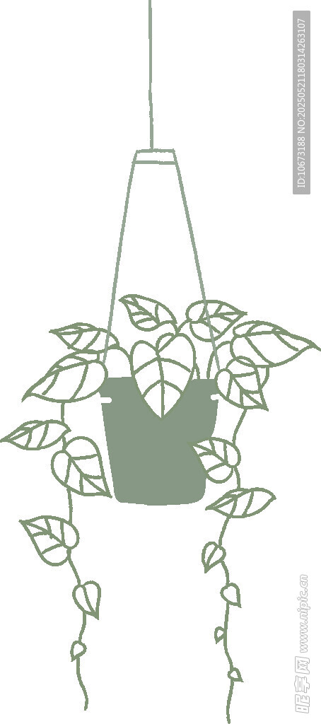 悬挂绿植盆栽装饰图