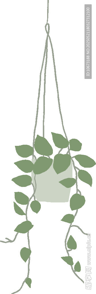 悬挂绿植盆栽