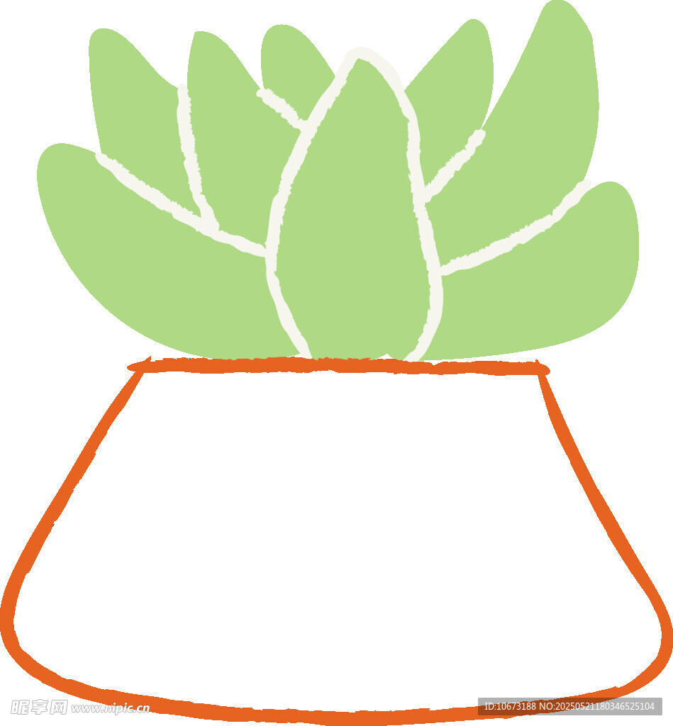 简约盆栽多肉植物插画