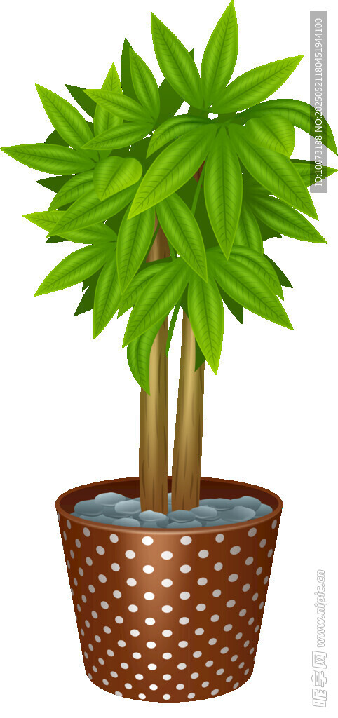 盆栽绿植置于编织花盆中