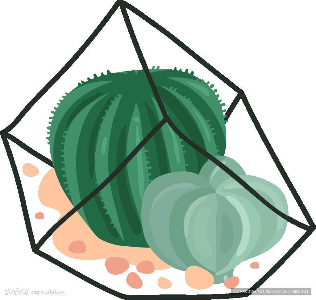 几何容器中的多肉植物