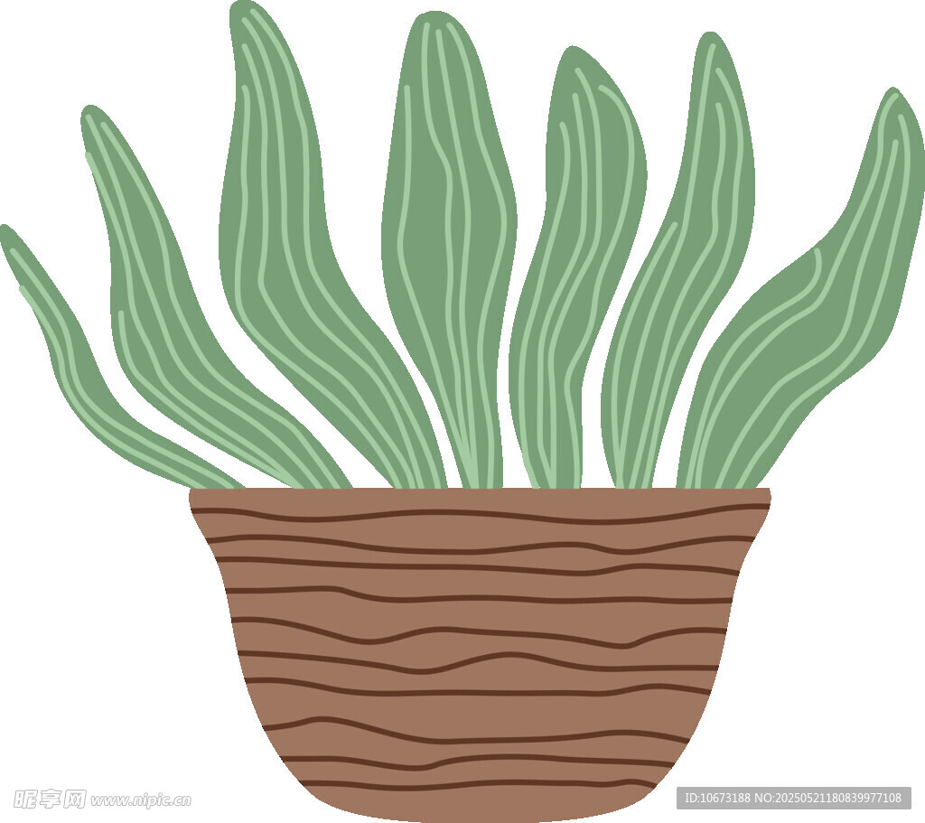 盆栽绿植插画