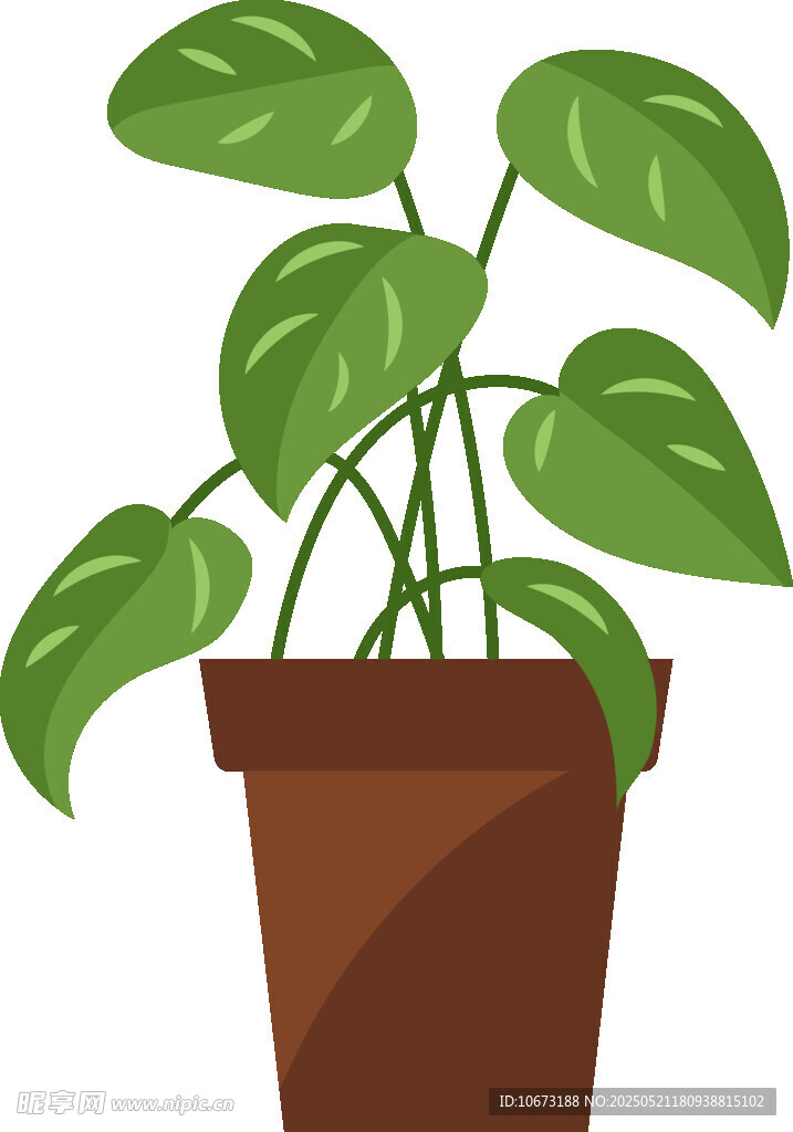 盆栽绿植 清新室内小植物