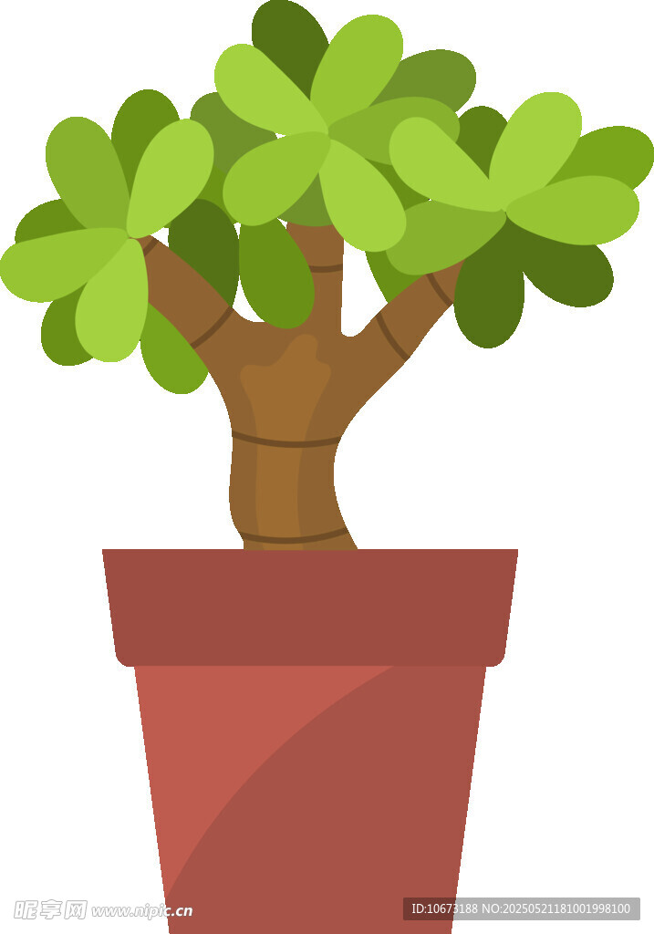 盆栽绿植插画
