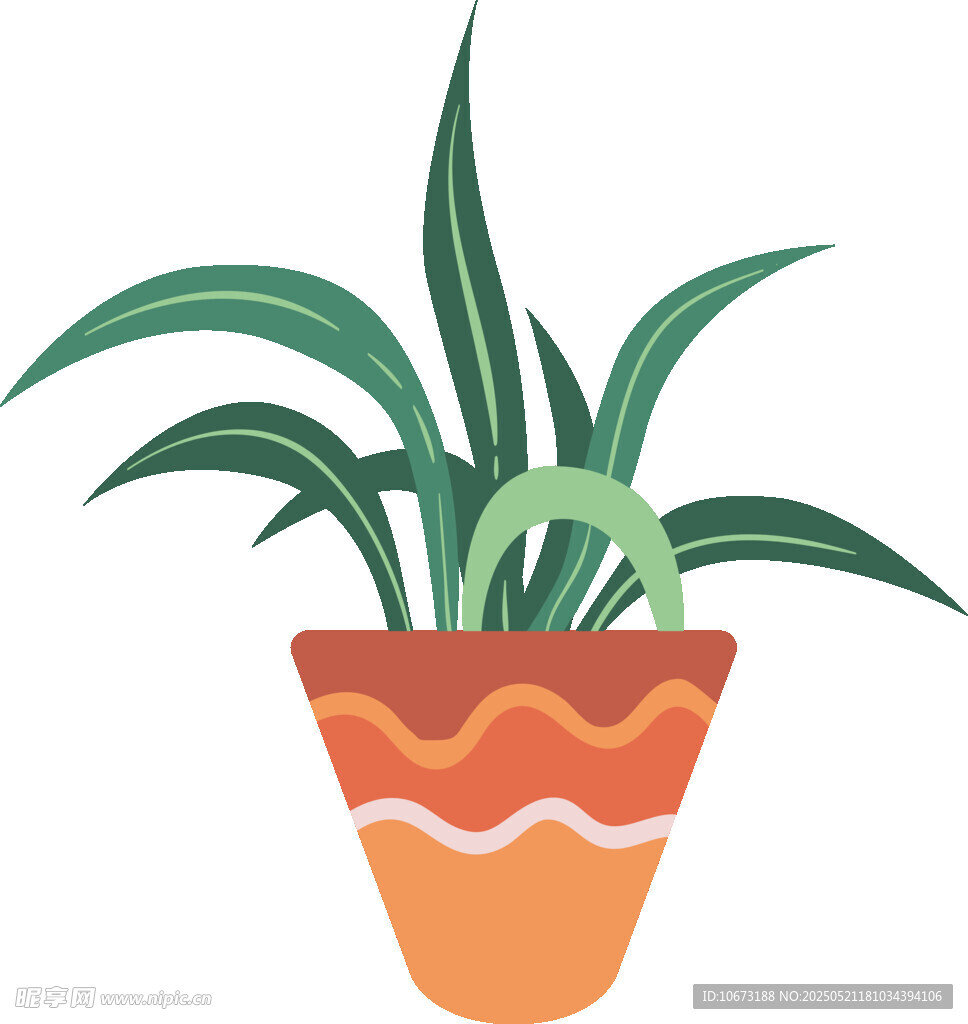 花盆中的绿植插画