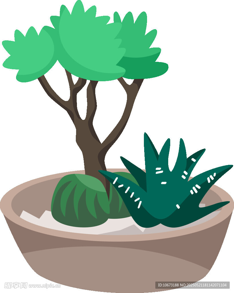 盆栽绿植组合