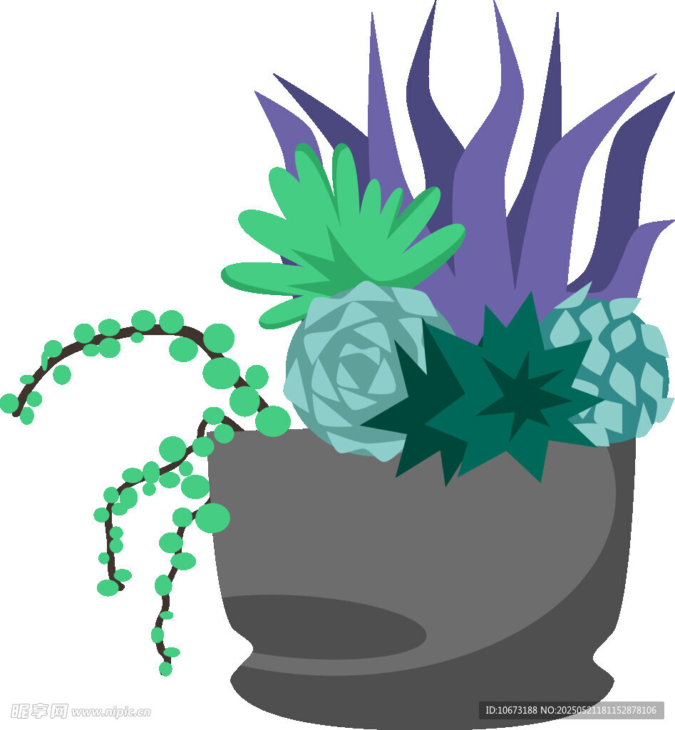 多肉植物盆栽插画