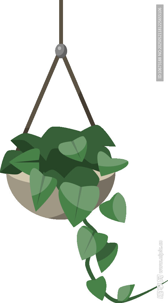 悬挂绿植盆栽