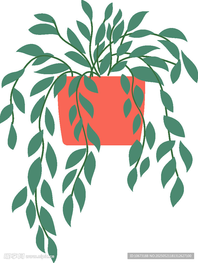悬挂绿植盆栽插画
