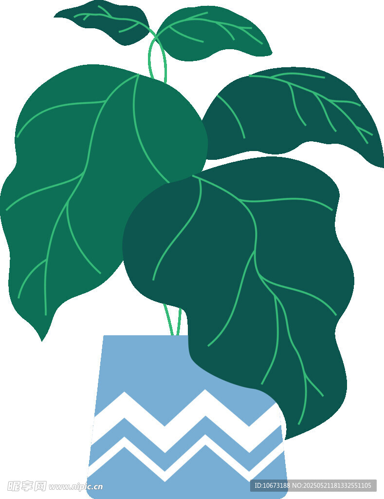 蓝盆绿植插画