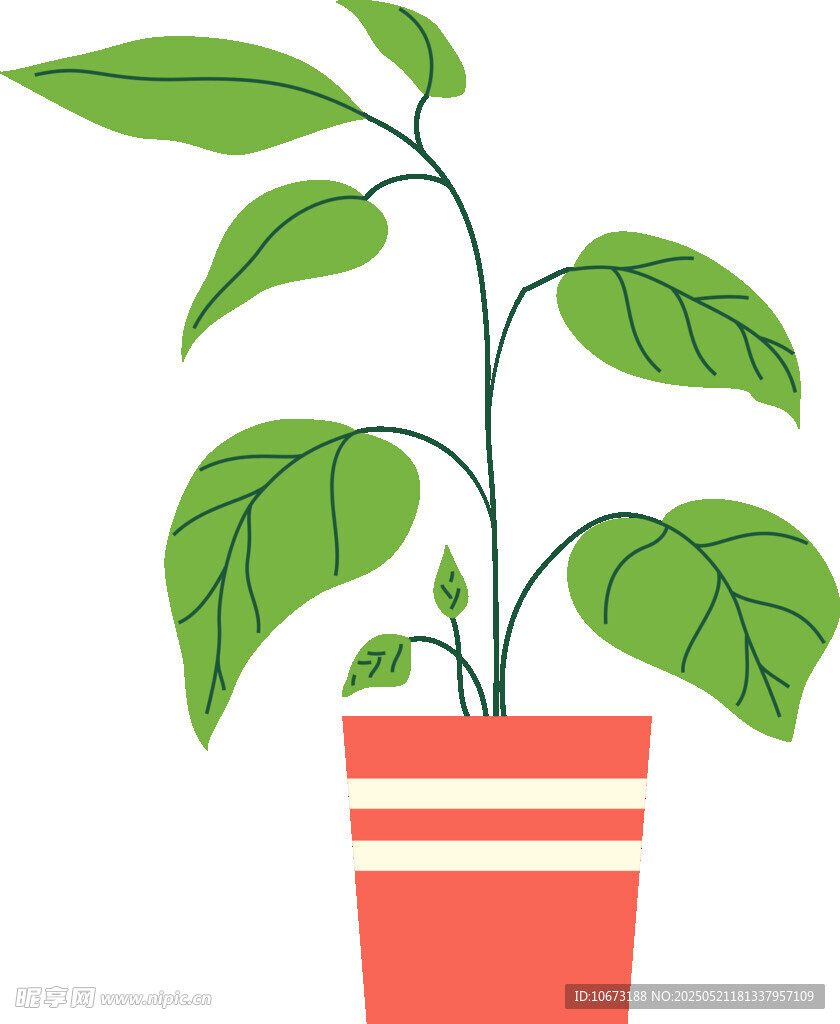 盆栽绿植插画