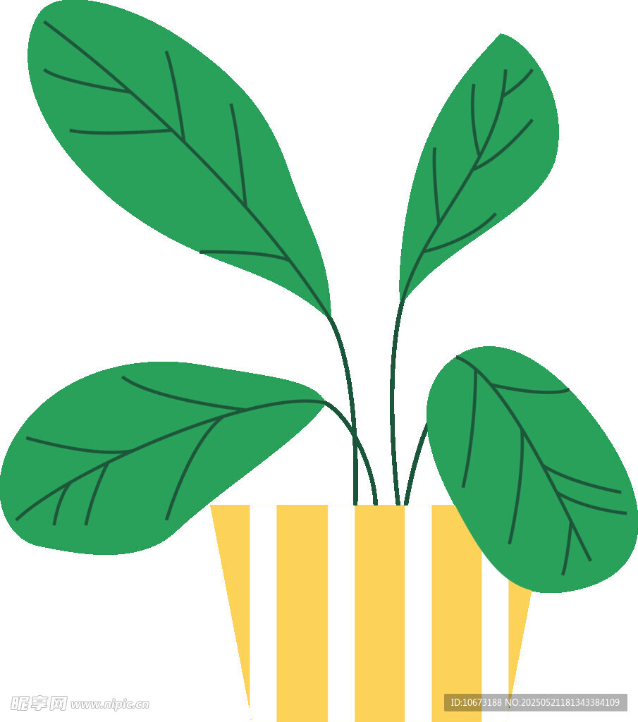 条纹花盆中的绿叶植物