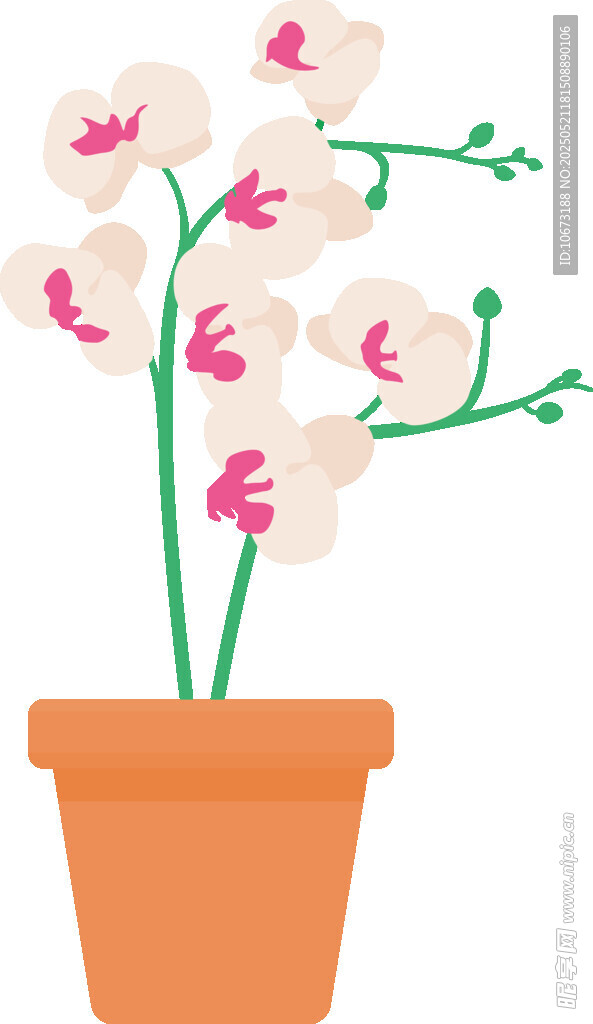 橙色花盆中的粉色兰花