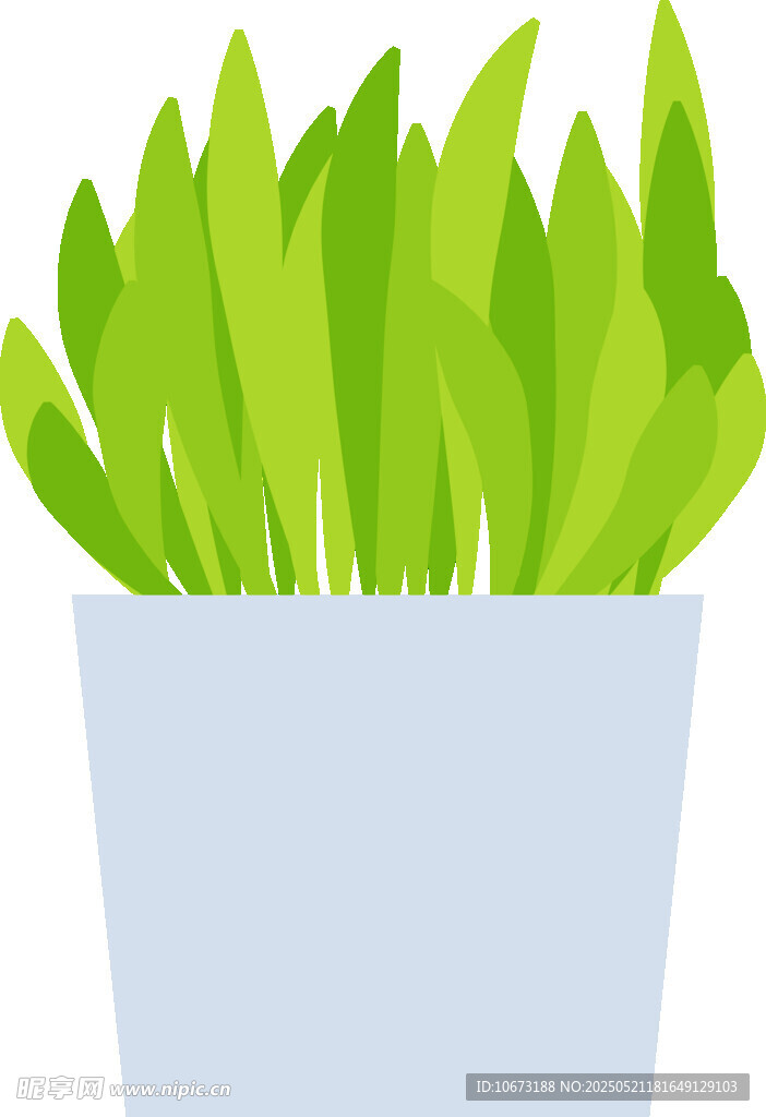 盆栽绿植插画