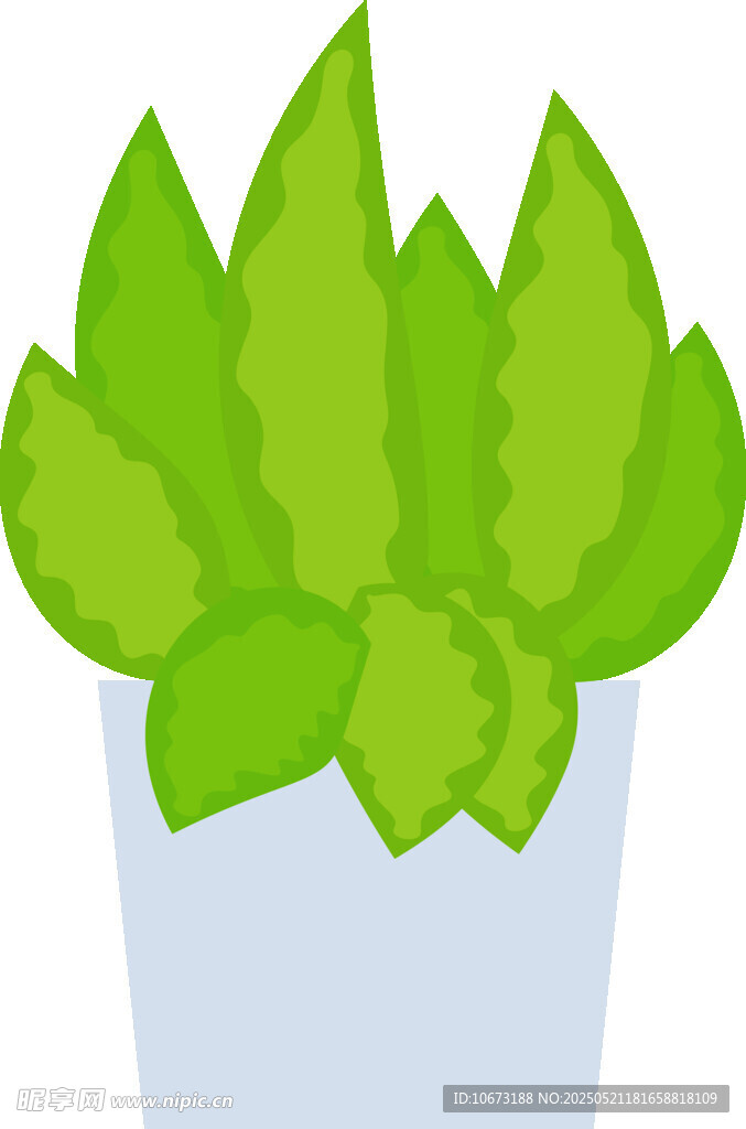 盆栽绿植插画