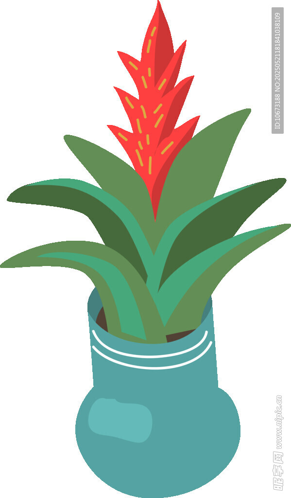 花瓶中的绿植与红花