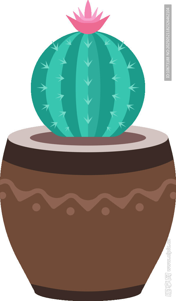 盆栽仙人掌插画