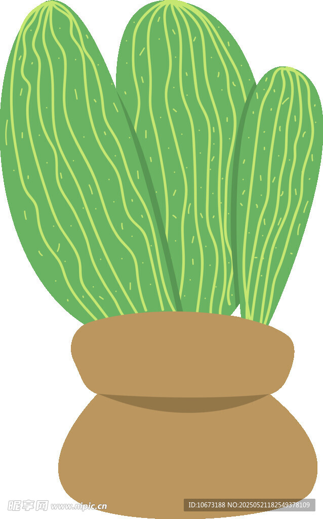 盆栽仙人掌插画