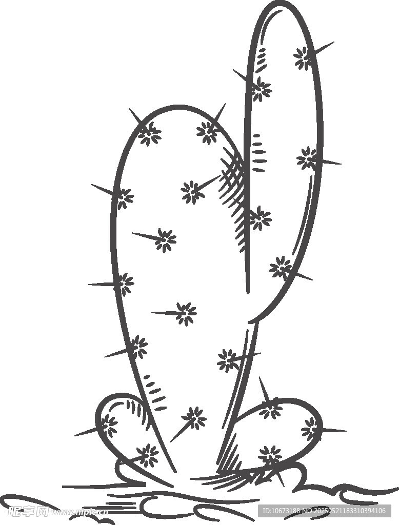 手绘单株仙人掌插画