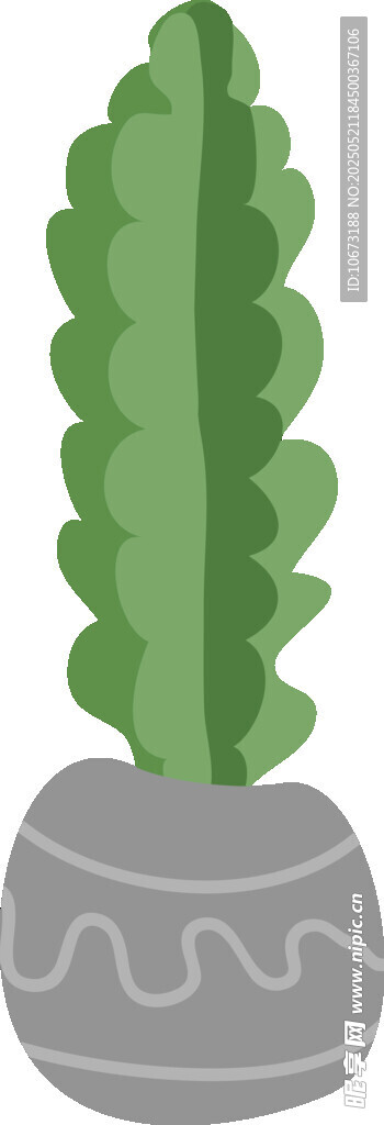 盆栽仙人掌