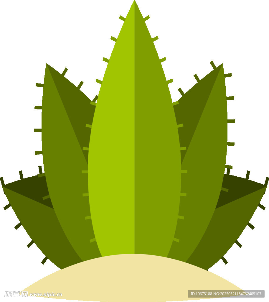 绿色仙人掌植物插画