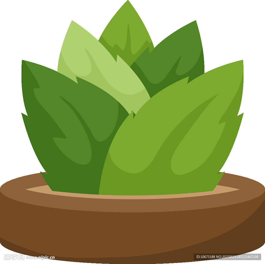 盆栽绿植插画