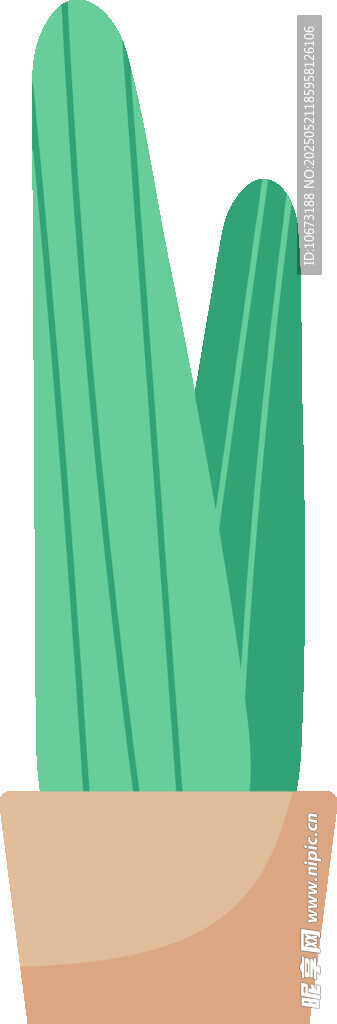盆栽仙人掌