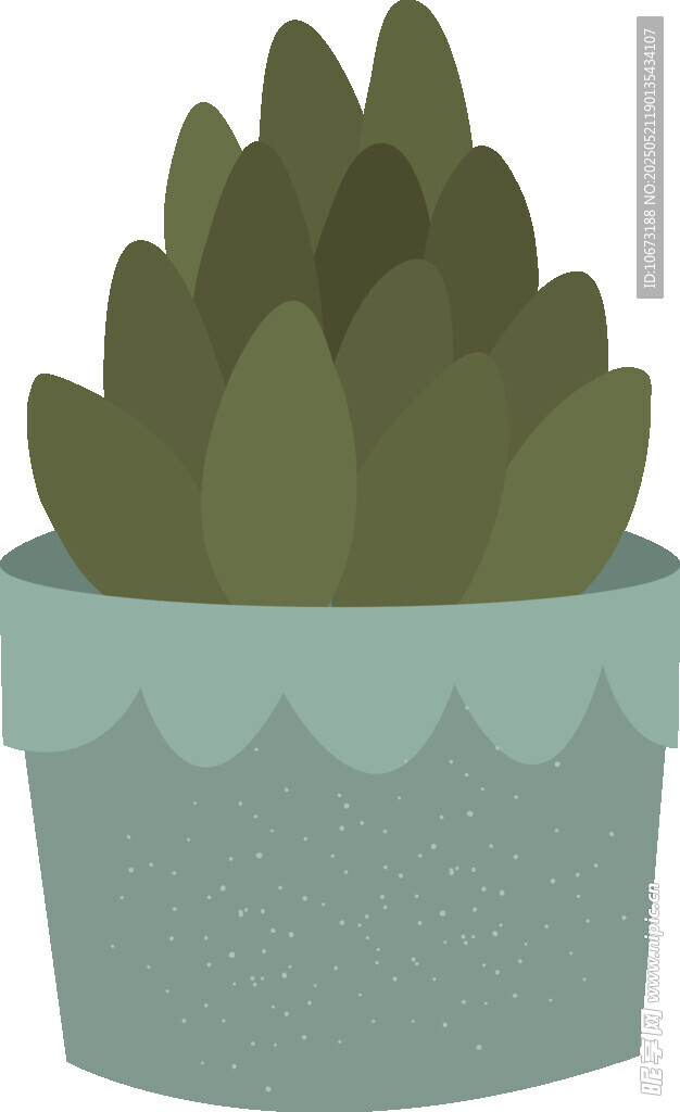 盆栽多肉植物插画