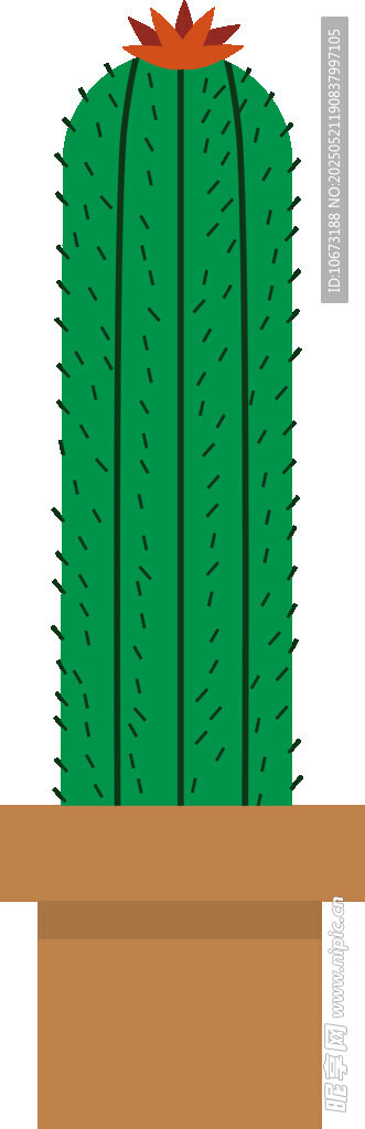 盆栽仙人掌插画