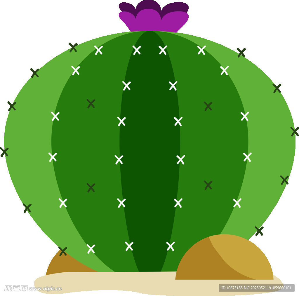 可爱圆胖仙人掌插画