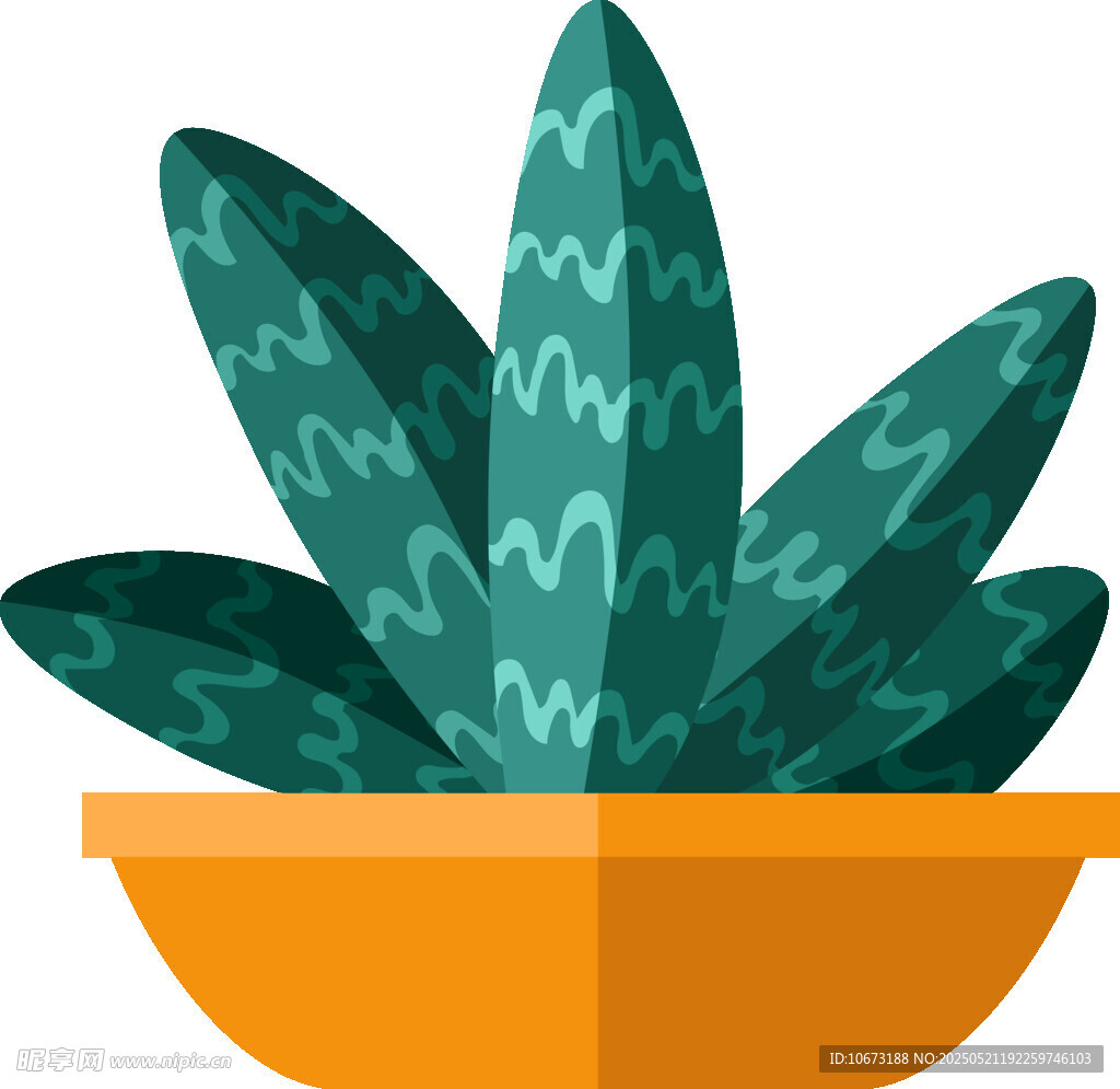 盆栽绿植插画