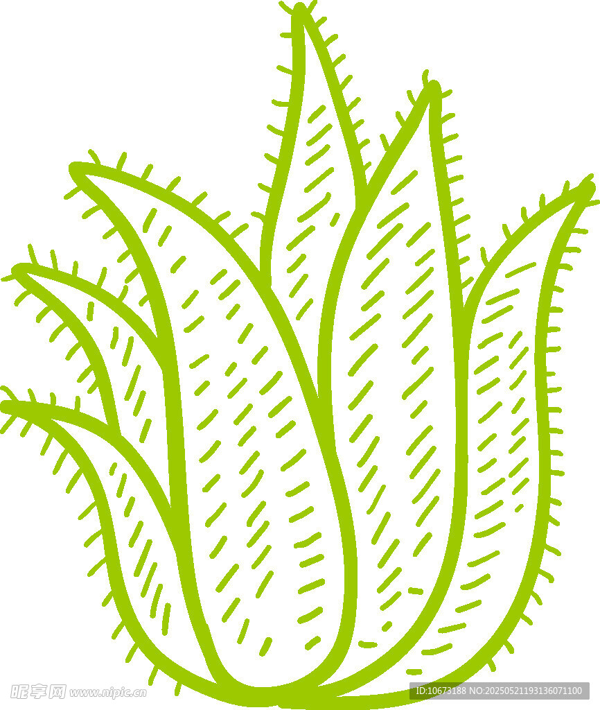 手绘绿色芦荟植物图案