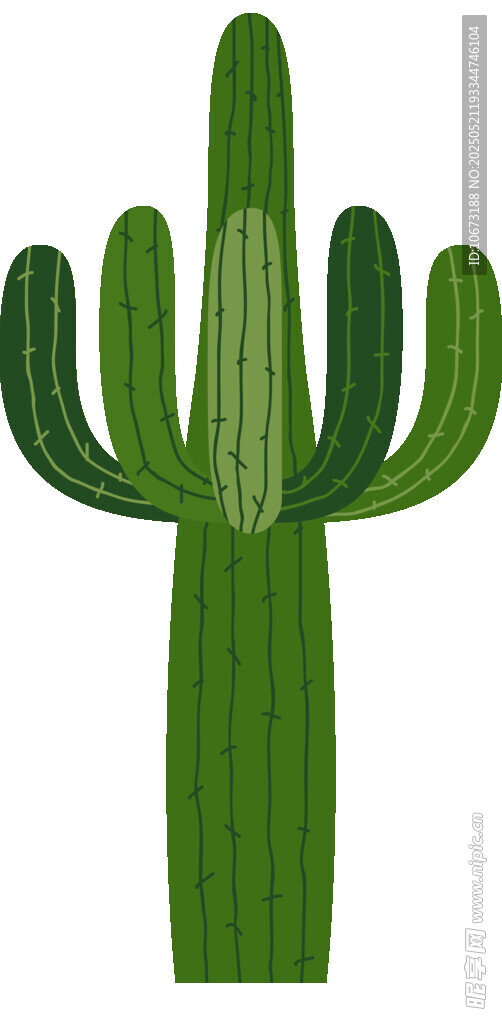 绿色仙人掌植物插画