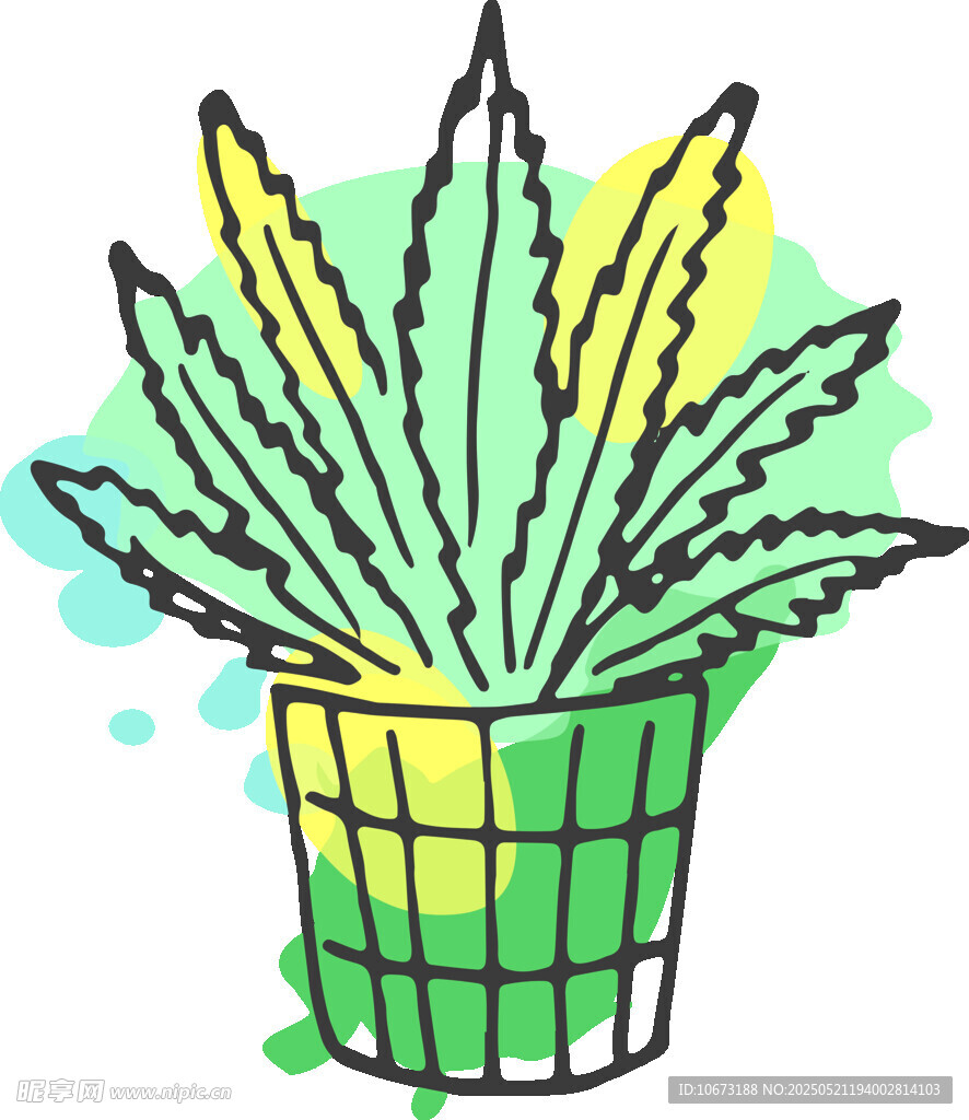 盆栽芦荟插画