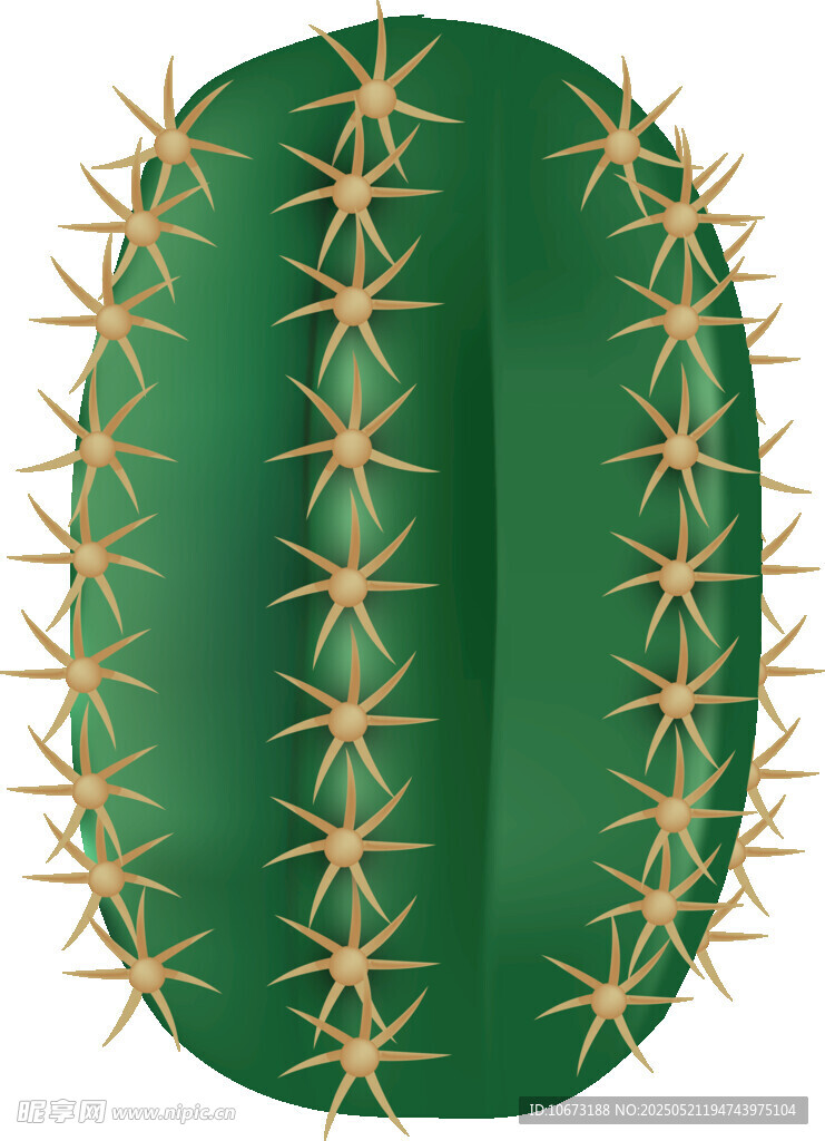 可爱仙人掌插画