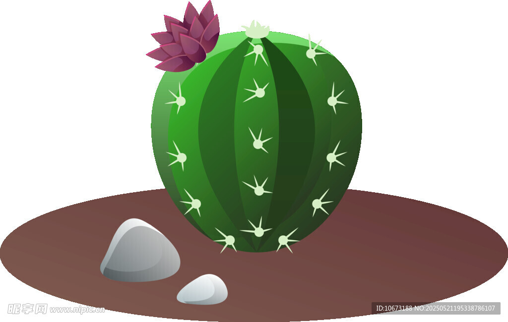 可爱仙人掌与石头景观