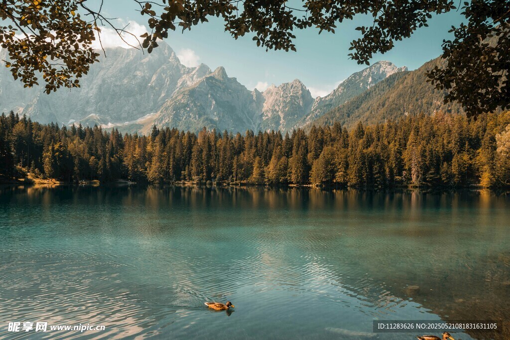 湖畔山林美景