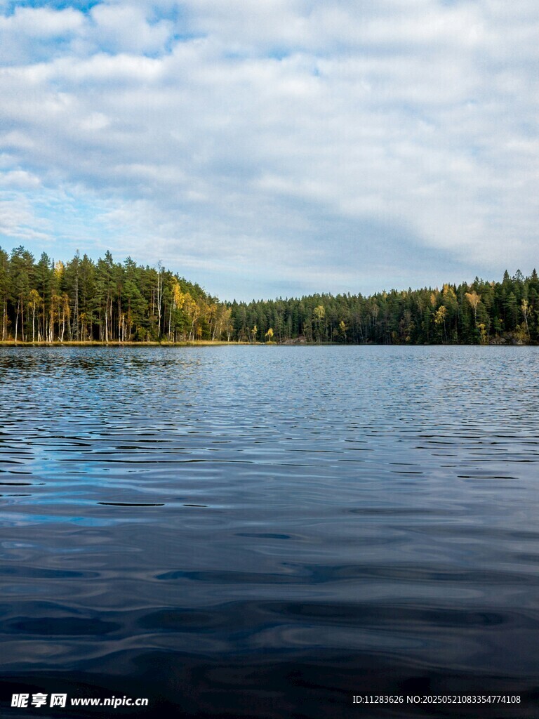 宁静湖泊与葱郁树林景观